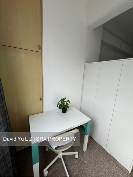 Balestier Plaza (D12), Apartment #492568541